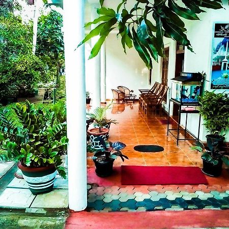 Sudu Neluma Home Stay Polonnaruwa Ngoại thất bức ảnh