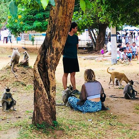 Sudu Neluma Home Stay Polonnaruwa Ngoại thất bức ảnh