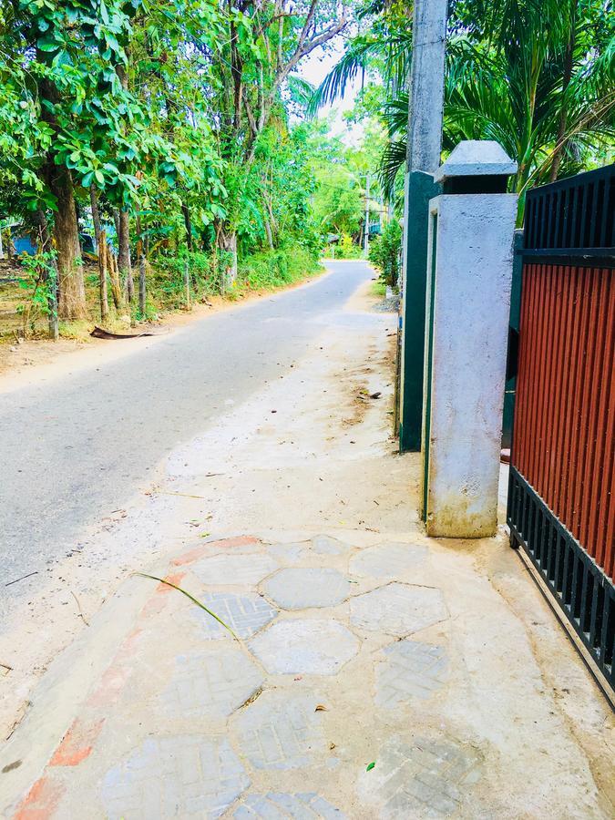 Sudu Neluma Home Stay Polonnaruwa Ngoại thất bức ảnh