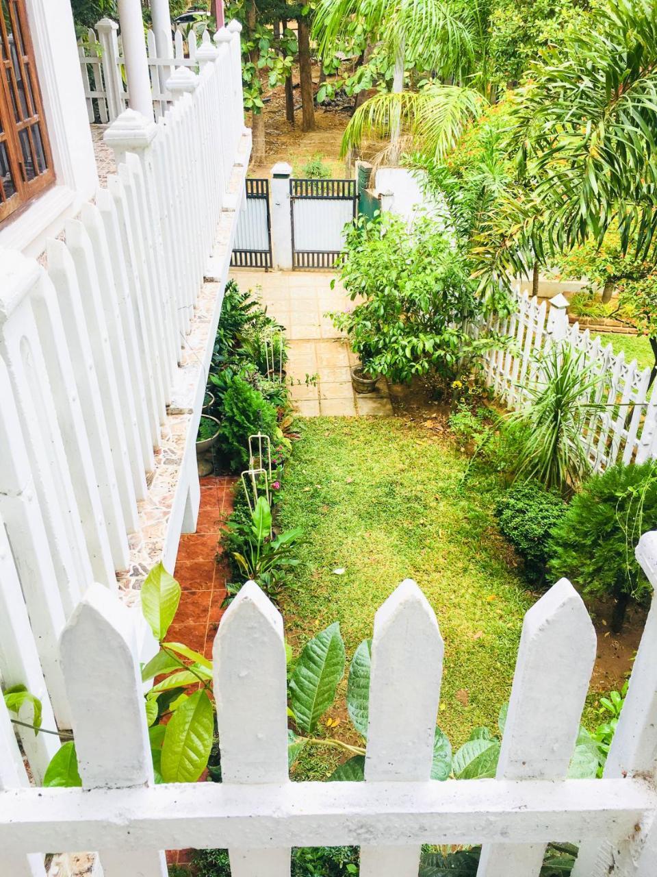 Sudu Neluma Home Stay Polonnaruwa Ngoại thất bức ảnh